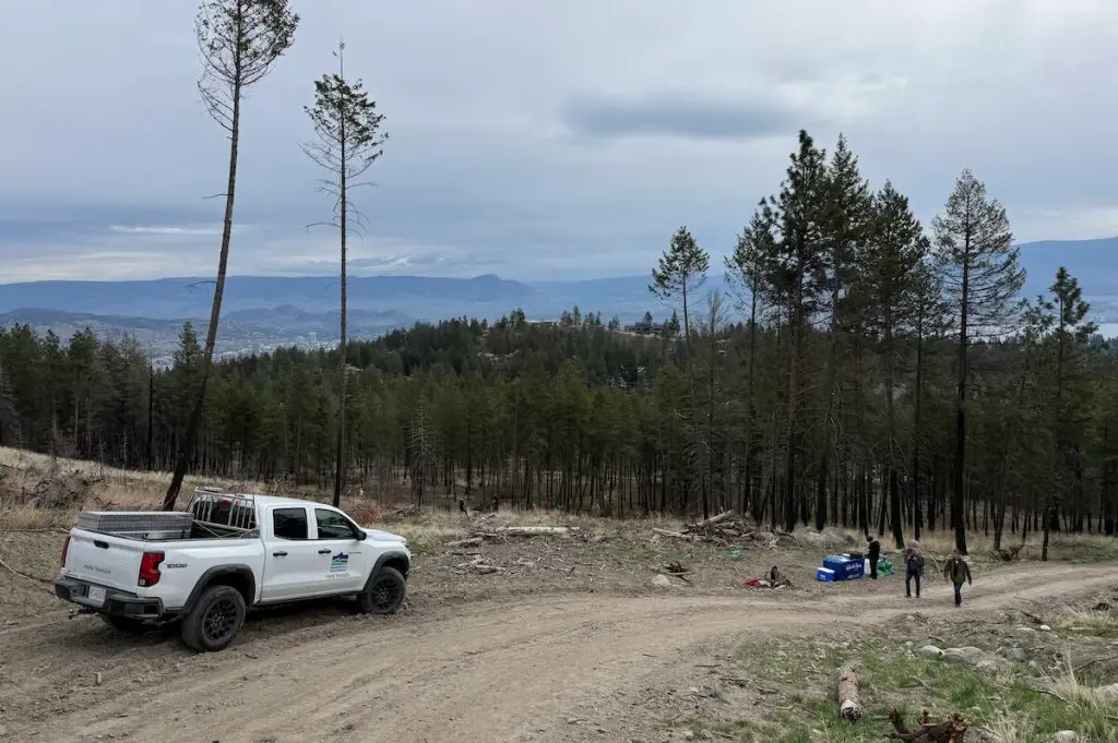 Volunteers, students plant 500 trees to rejuvenate B.C. park after 2023 wildfire