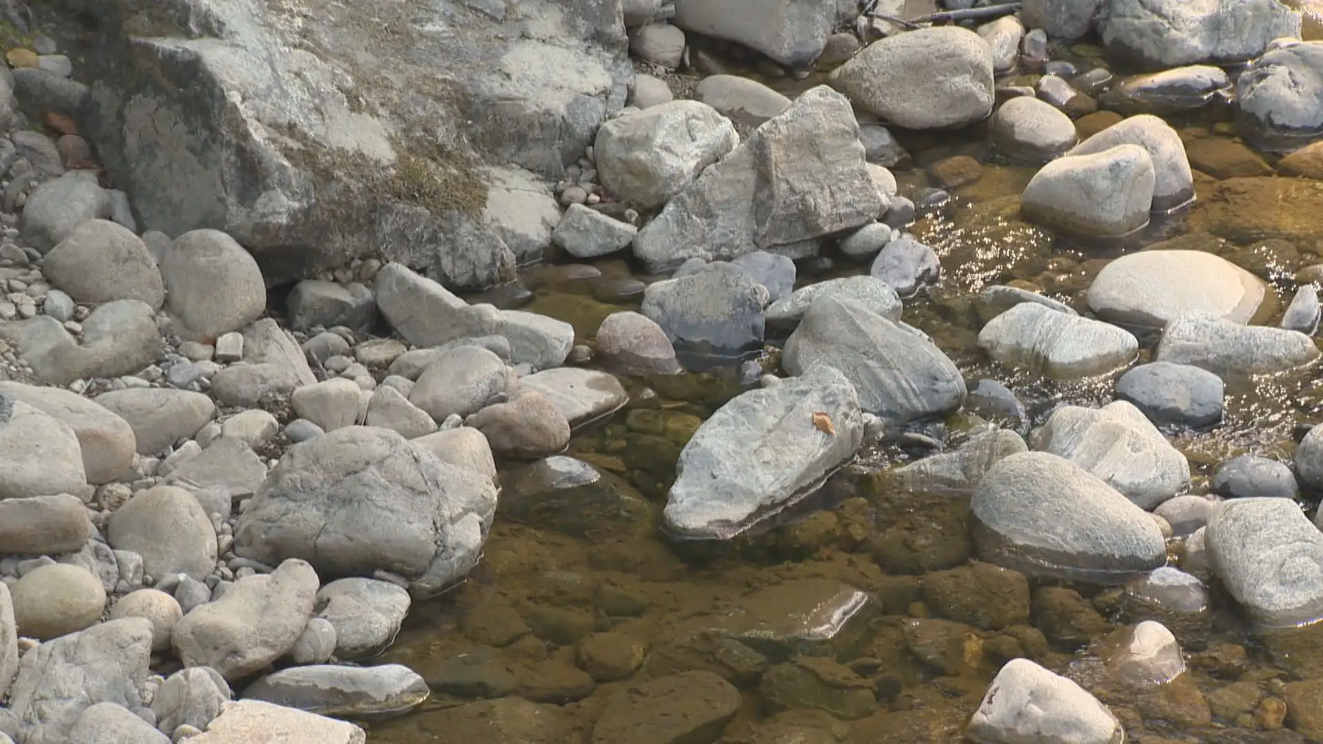 Okanagan snowpack at lowest in 40 years as drought fears ramp up