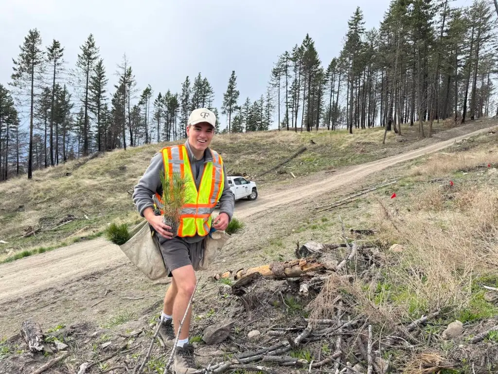 Volunteers, students plant 500 trees to rejuvenate Rose Valley park in West Kelowna
