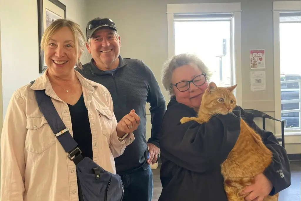 Vernon veterinarian clinic reunites owner with cat missing for 2 years